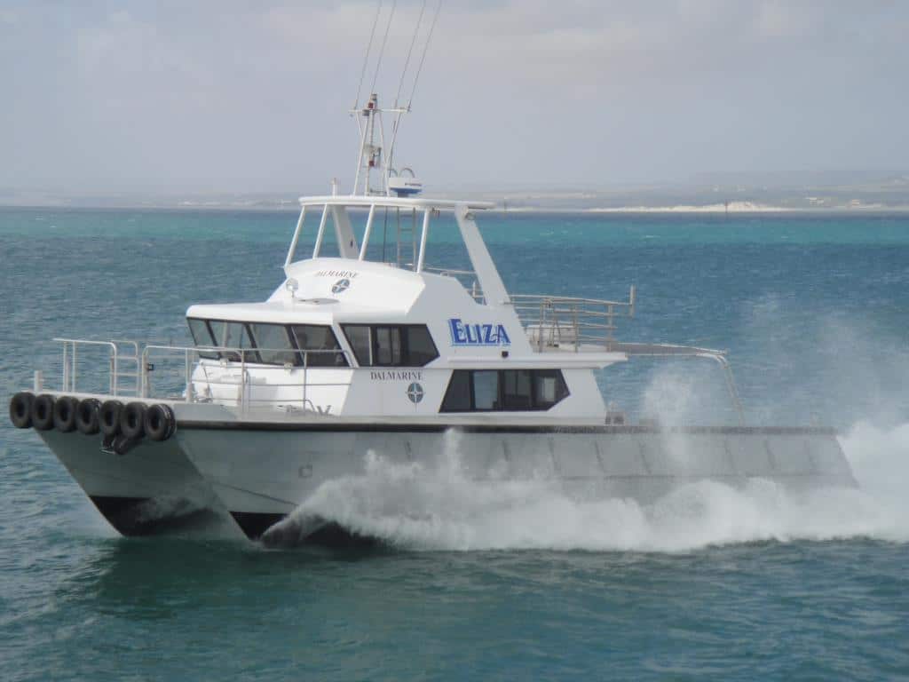 eliza-1