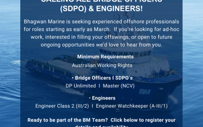 Expression of Interest – DP Unlimited Bridge Officers & Engineers