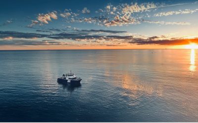 FY25 Performance Demonstrates Bhagwan’s Strength in First Full Year as a Listed Company